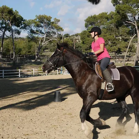 Charming Junior Polemi, In The Heart Of Aphrodite Hills *